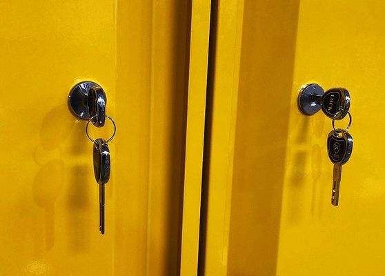 주문 화학물질 보관용 캐비닛: 위험물질 보관용으로 109x46x123CM, 109x46x165CM, 109x86x165CM 온라인 제조